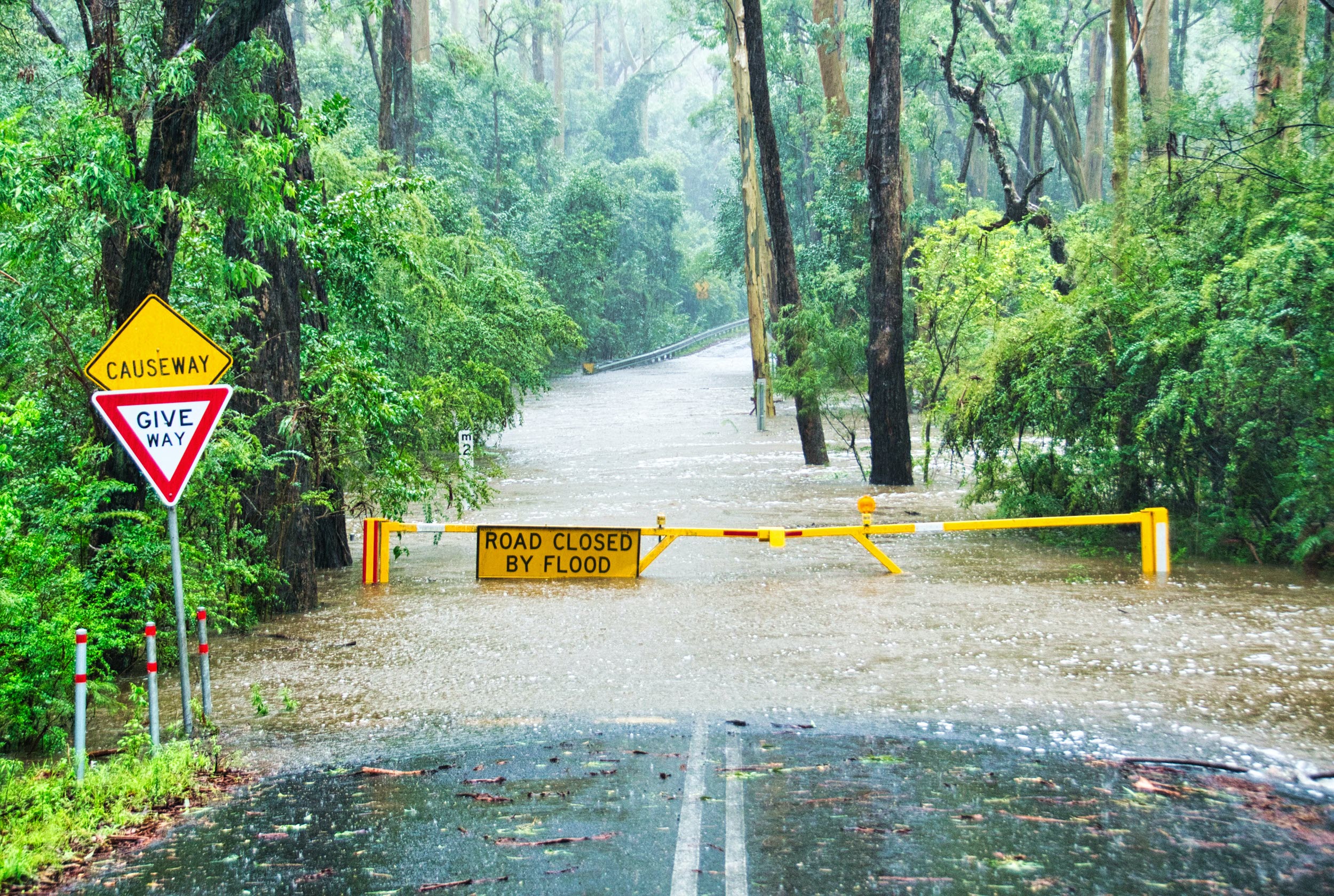 Flooded road crossing