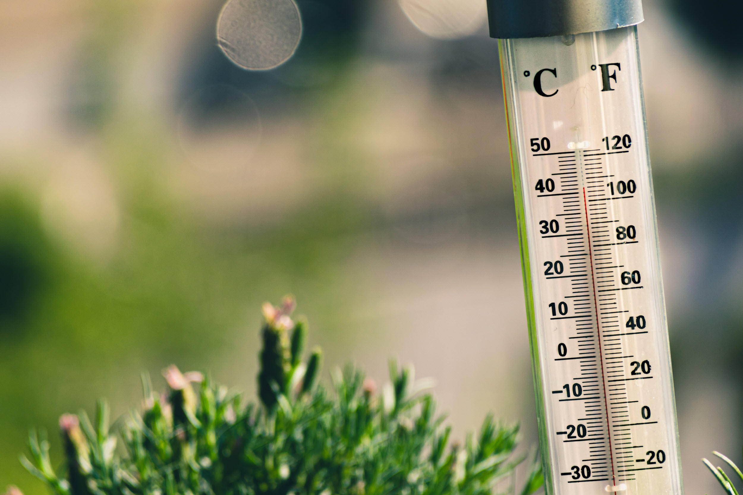 Thermometer
