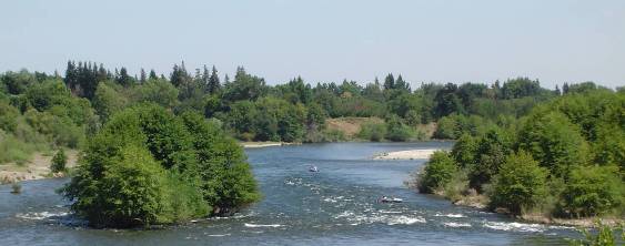 American River