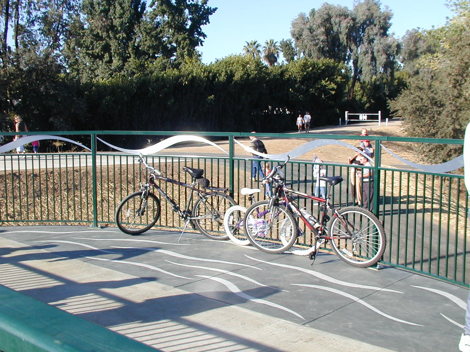 Bicycles at a park
